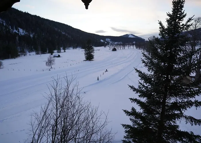 Apartment Sinabell *